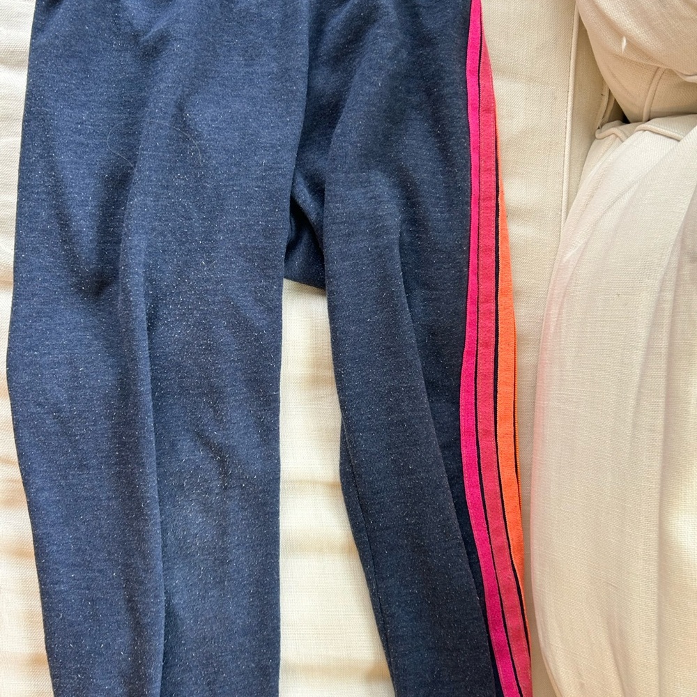 Aviator Nation Charcoal Neon Sweatpants with Striking Side Stripe